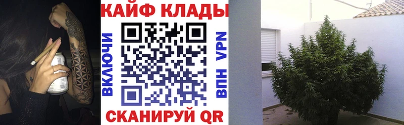 Где можно купить наркотики Урень ГАШ  Alpha-PVP  Меф мяу мяу 